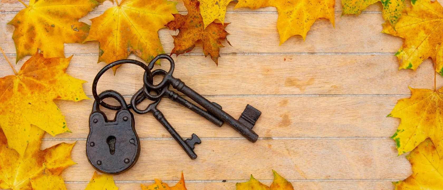 Illustration for the article "Why September is the best time to grow your Airbnb concierge business"