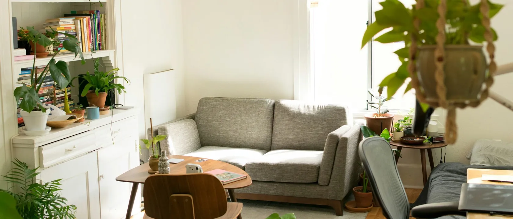 Photo of an apartment interior with plants and a sofa